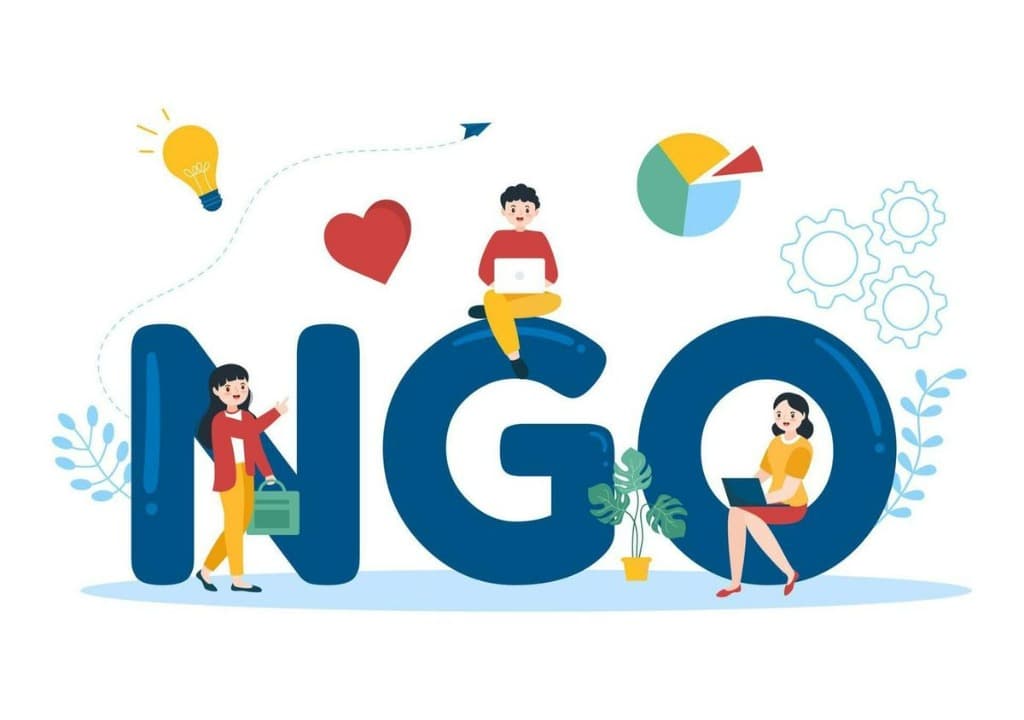NGO Background